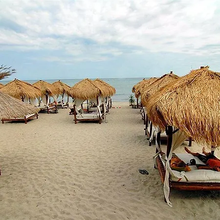 Andalucia النايت