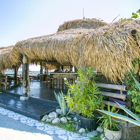 Complex Andalucia Elenite