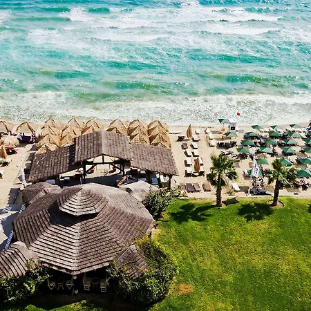 Complex Andalucia Elenite